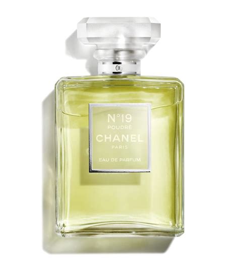 chanel no 19 poudre 100ml|Chanel no 19 perfume price.